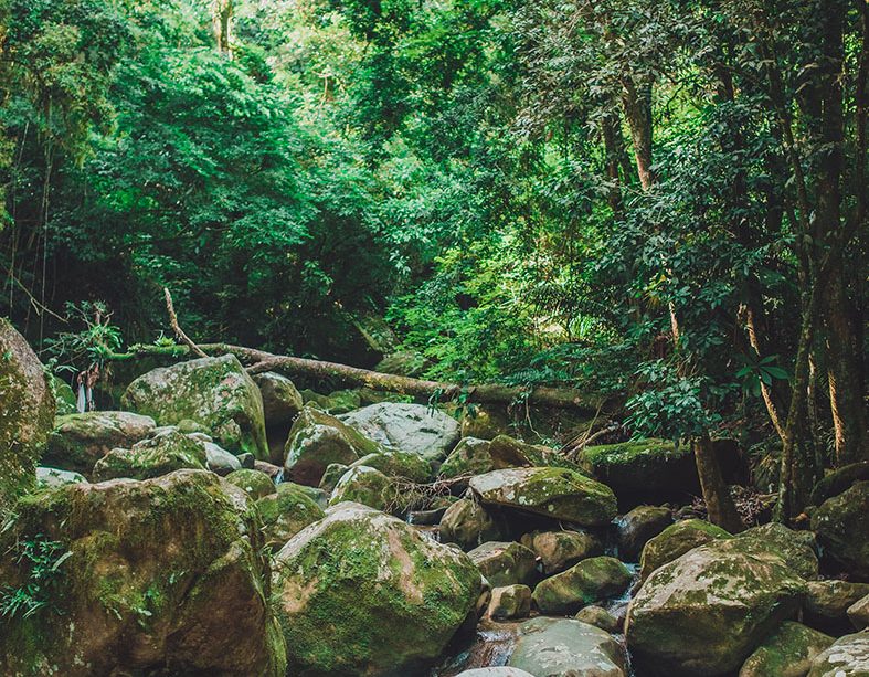 Cachoeira do Parque Ecológico dos Orixás, em Magé-RJ